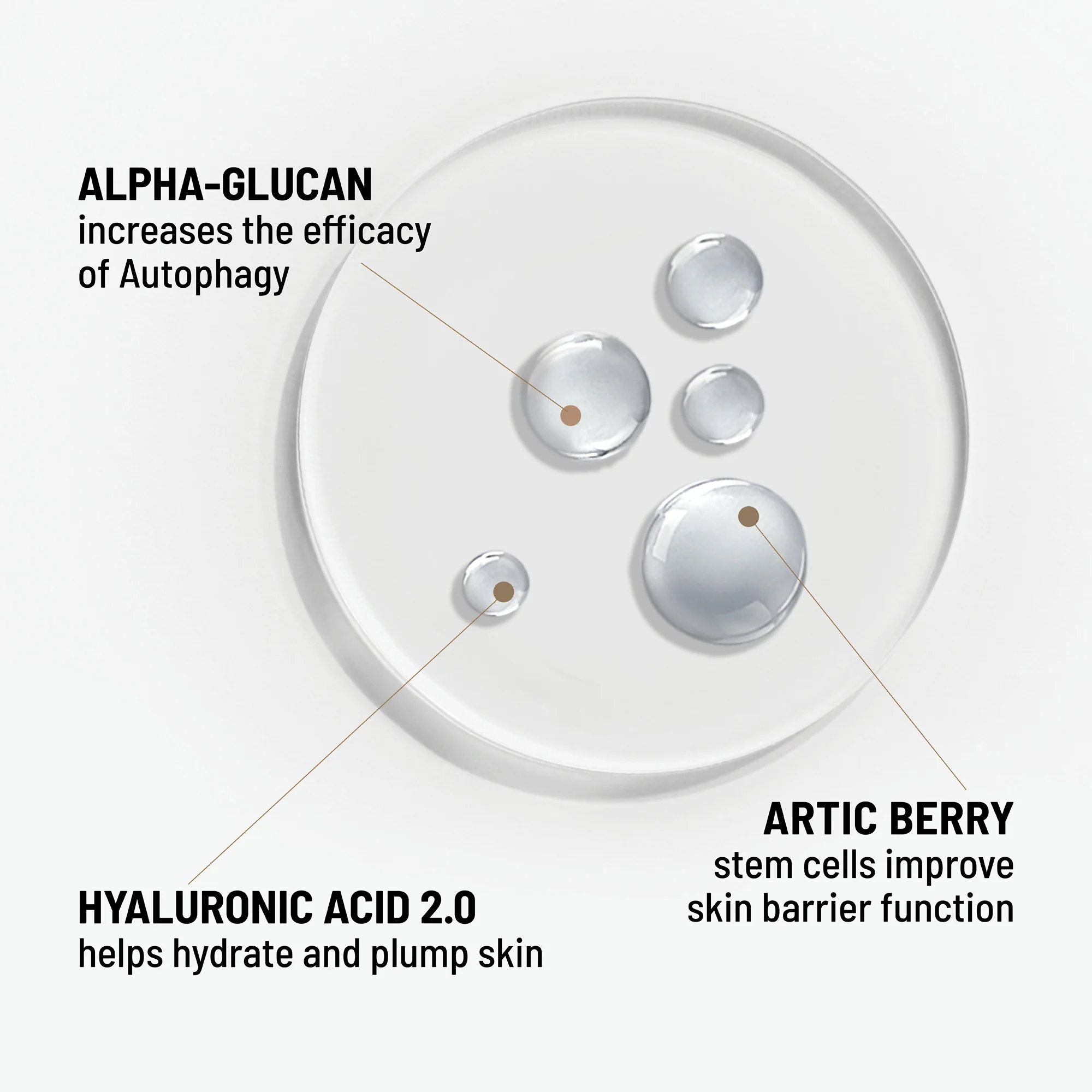 ALL-DAY STRENGTHENING SERUM - Image 5