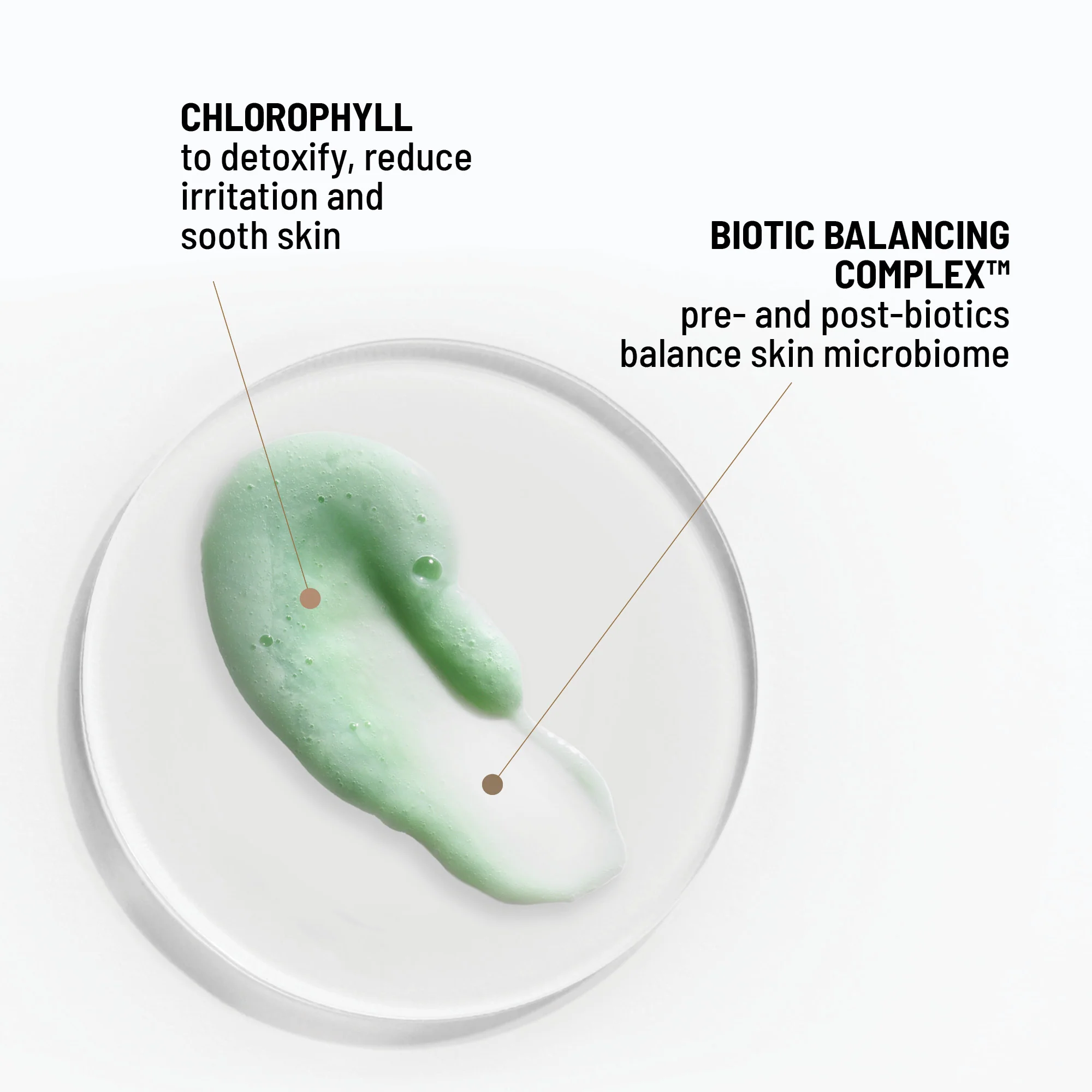 Clean Biotic - Image 6