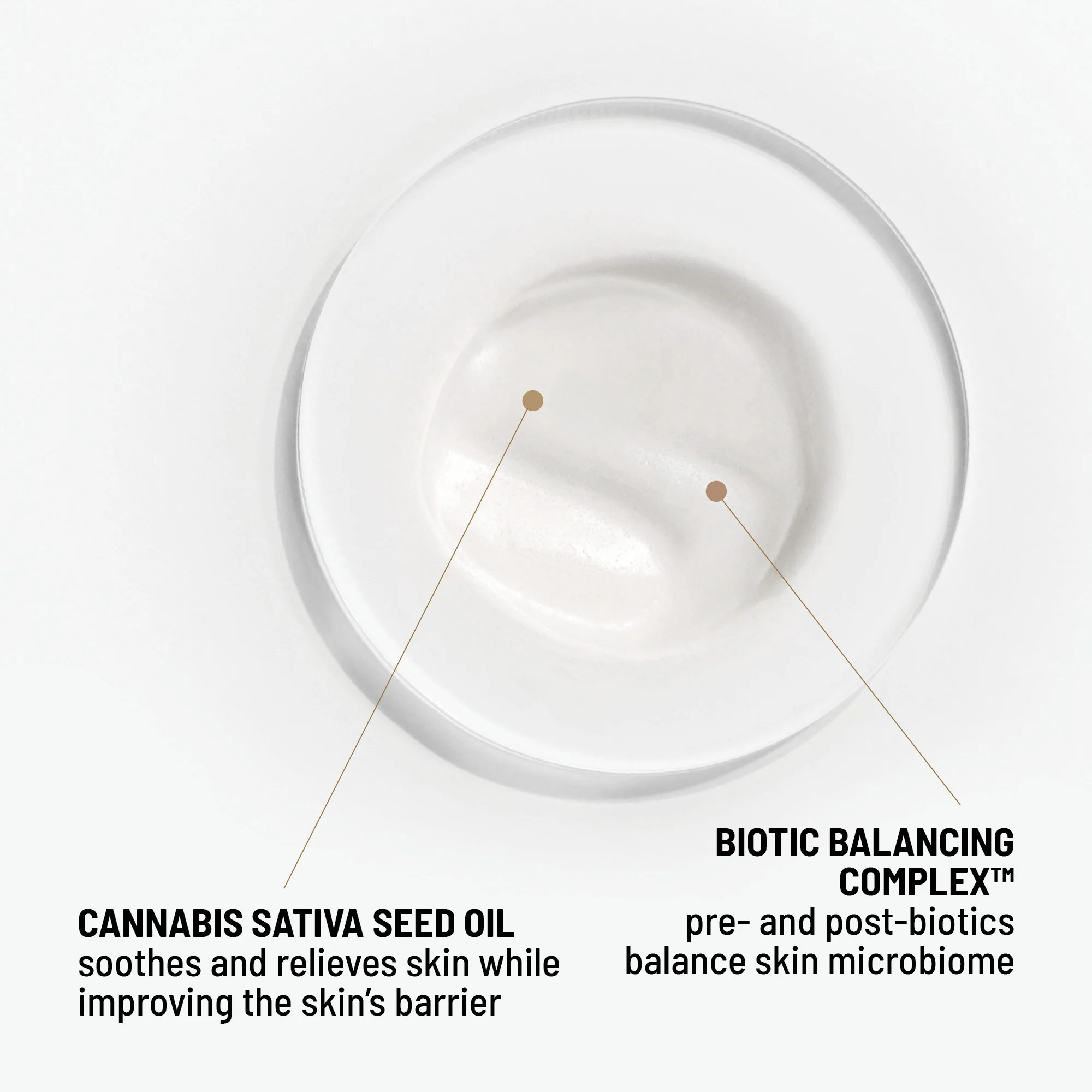 Cool Biotic - Image 8