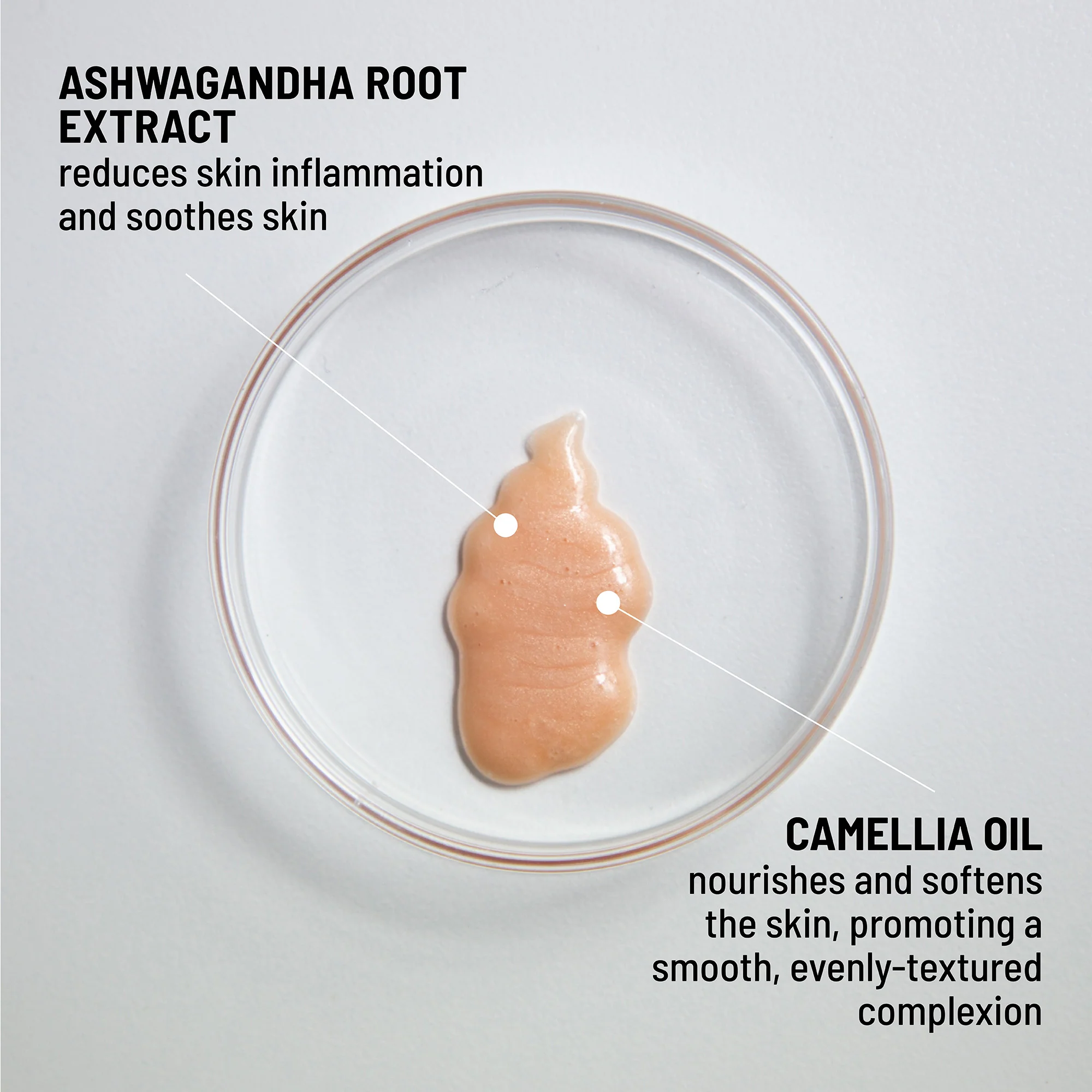 Hydrating Serum-to-Highlighter (Avail - June 26) - Image 3