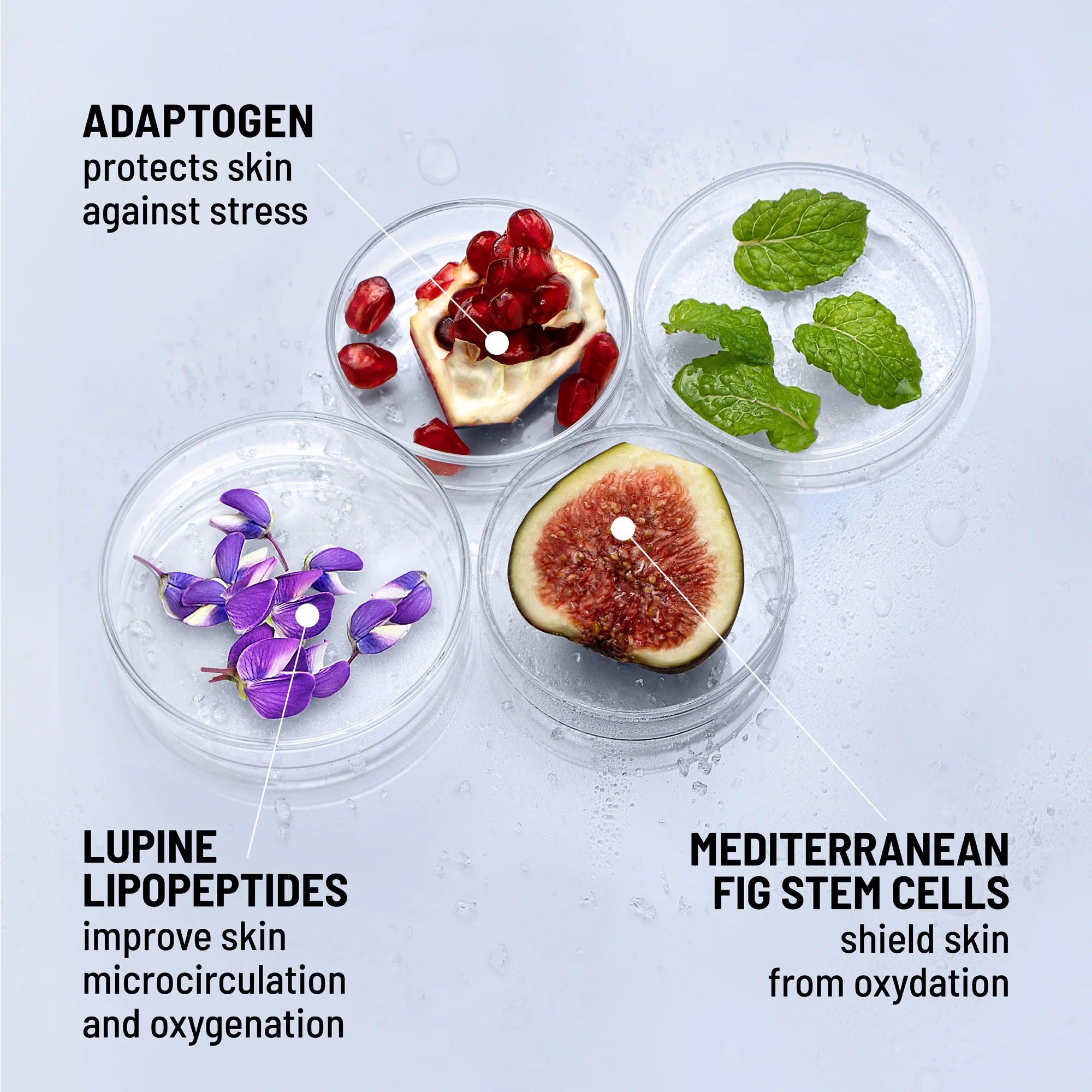Icy Gel Moisturizer - Image 5